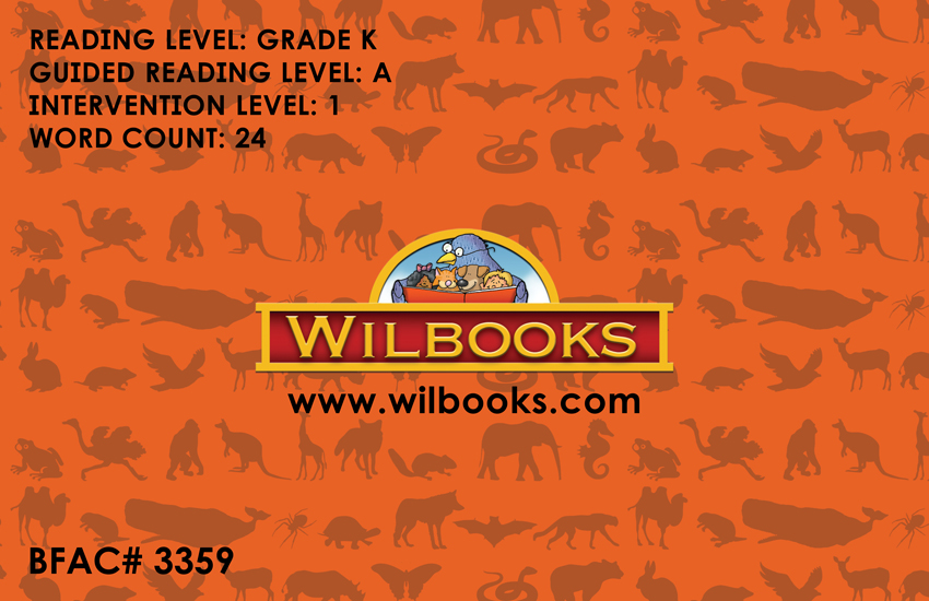 I See Four Wild Animals: I See Four Wild Animals: