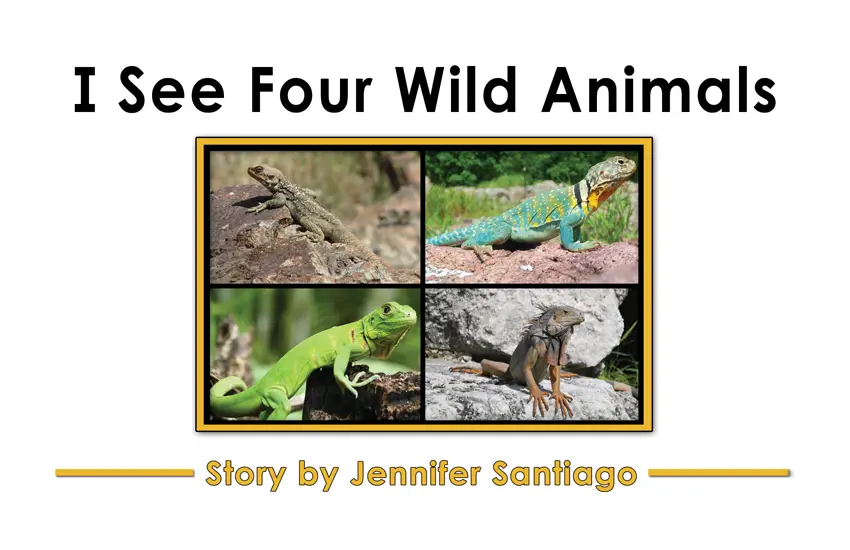 I See Four Wild Animals: 