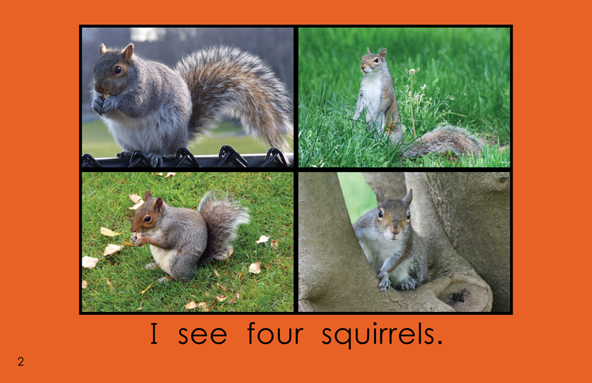 I See Four Wild Animals: I See Four Wild Animals: