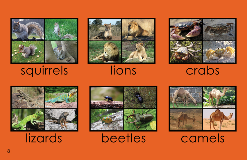 I See Four Wild Animals: I See Four Wild Animals:
