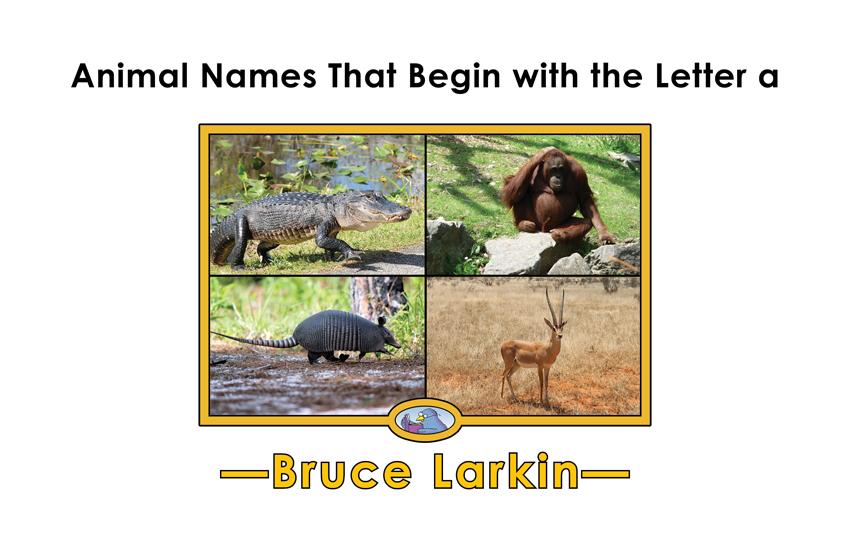 Animal Names That Begin with the Letter a: Animal Names That Begin with the Letter a: