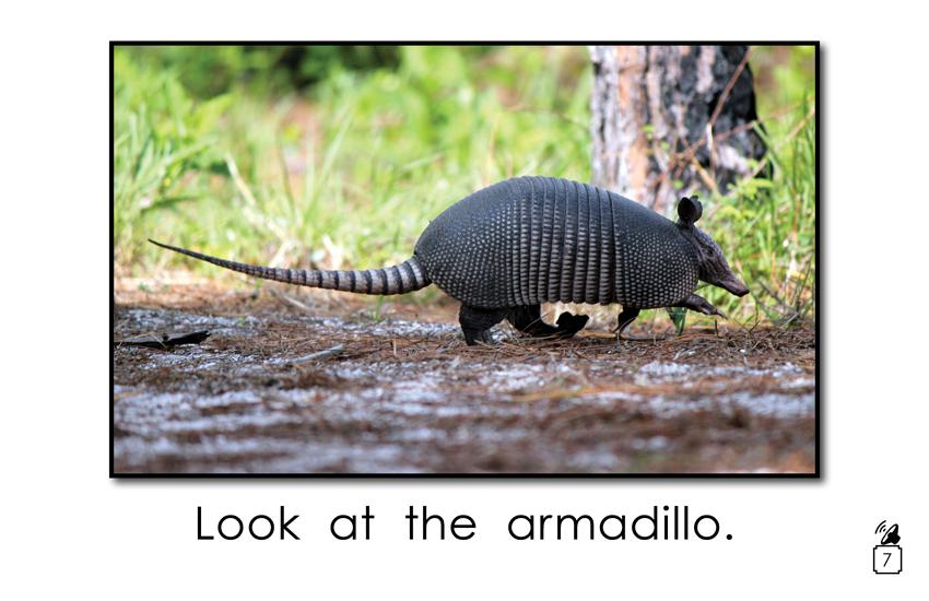 Animal Names That Begin with the Letter a: Animal Names That Begin with the Letter a: