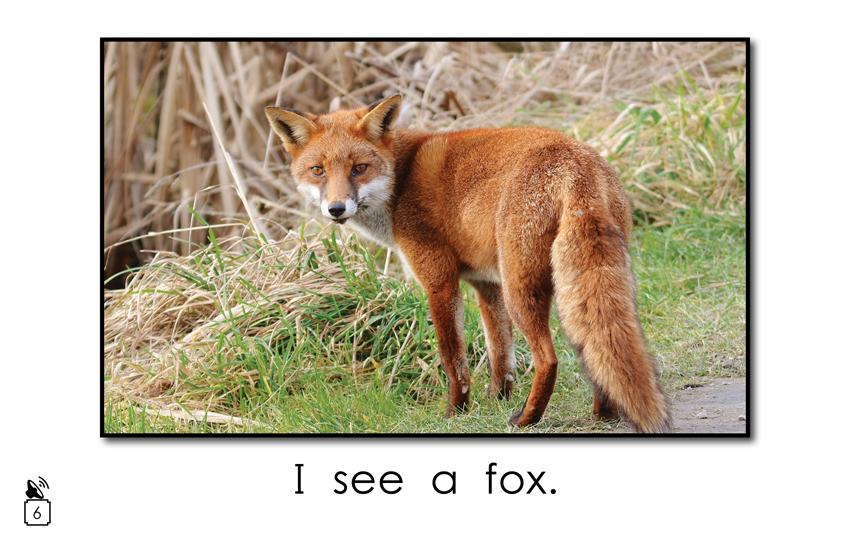 Animal Names That Begin with the Letter f: Animal Names That Begin with the Letter f:
