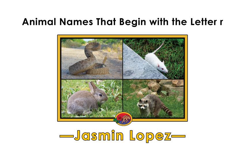 Animal Names That Begin with the Letter r: Animal Names That Begin with the Letter r: