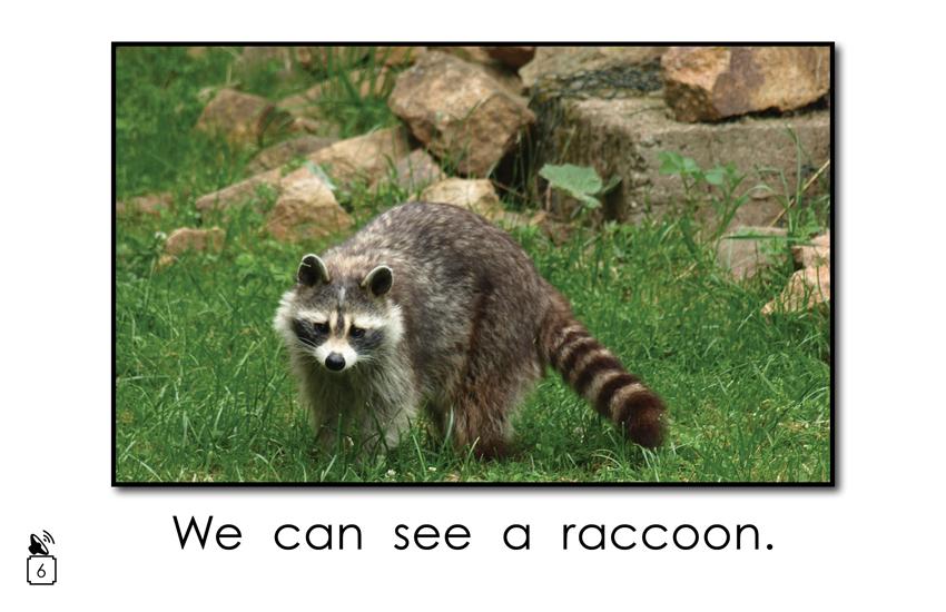 Animal Names That Begin with the Letter r: Animal Names That Begin with the Letter r: