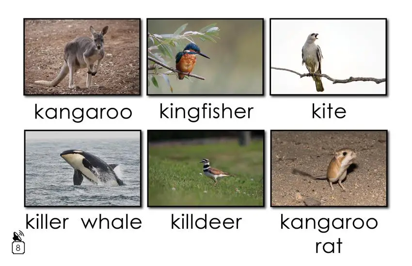 Animal Names That Begin with the Letter k: 