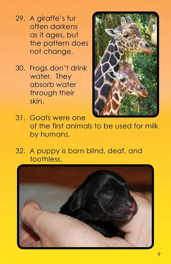 Amazing Animal Facts, Vol. 1: 