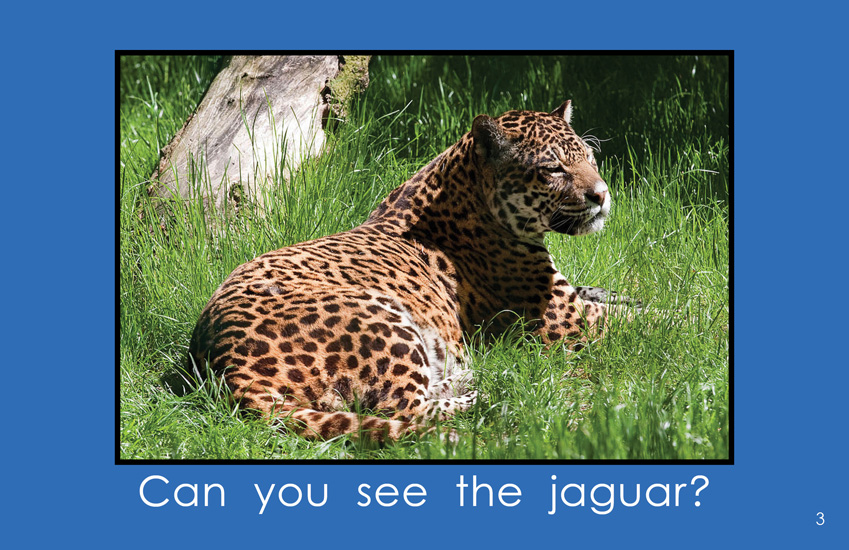 More Wild Animals of Mexico (A Kindergarten Book) - Wilbooks