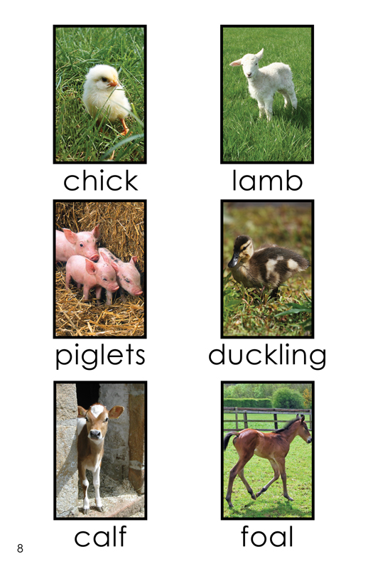Farm Babies: Farm Babies: