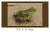 Colorado Wild Animals - 8