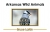 Arkansas Wild Animals - 3