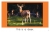 Arkansas Wild Animals - 7