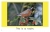 Arkansas Birds - 4