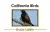 California Birds - 3