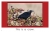Utah Birds - 6