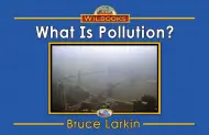 What Is Pollution?