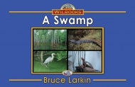 A Swamp