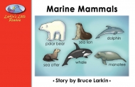 Marine Mammals