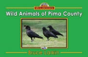 Wild Animals of Pima County