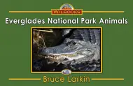 Everglades National Park Animals