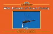 Wild Animals of Duval County