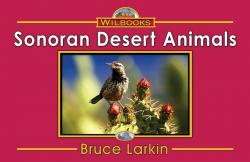 Sonoran Desert Animals