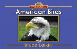 American Birds