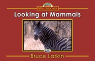 Looking at Mammals