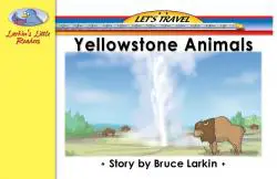 Yellowstone Animals