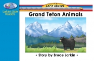 Grand Teton Animals