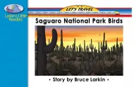 Saguaro National Park Birds