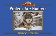 Wolves Are Hunters