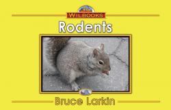 Rodents