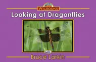 Looking at Dragonflies