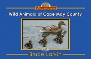 Wild Animals of Cape May County