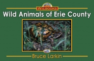 Wild Animals of Erie County