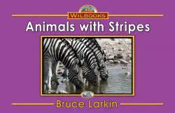 Animals with Stripes