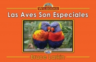 Las aves son especiales