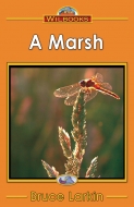 A Marsh