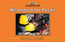 Mirando a los peces