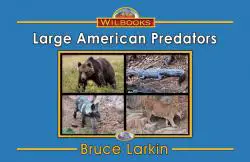 Large American Predators
