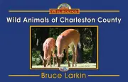 Wild Animals of Charleston County