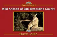 Wild Animals of San Bernardino County