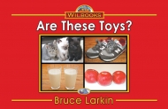 Are These Toys?