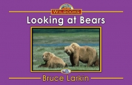 Looking at Bears