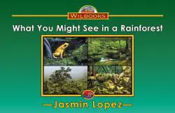 What You Might See in a Rainforest