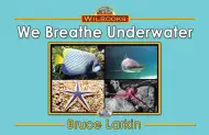 We Breathe Underwater