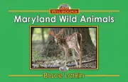 Maryland Wild Animals