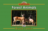 Forest Animals