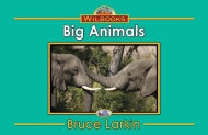 Big Animals